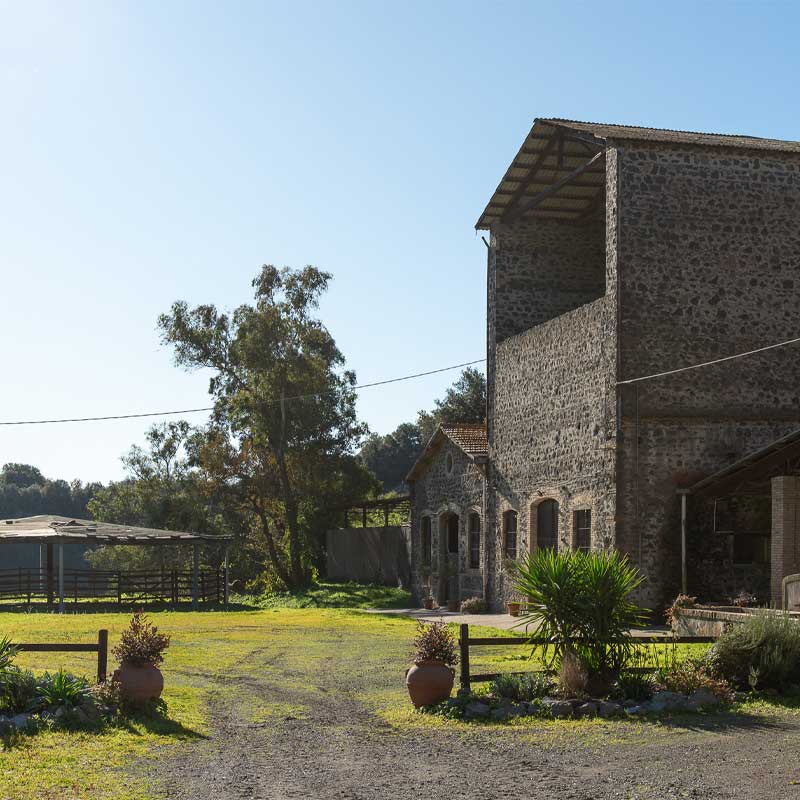 tenuta-di-cornazzano-gallery-2