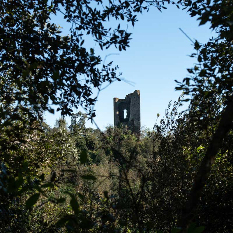 tenuta-di-cornazzano-gallery3
