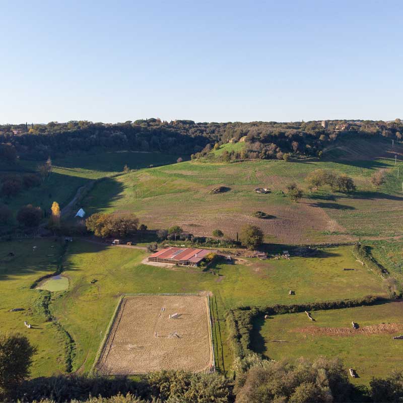 tenuta-di-cornazzano-gallery5