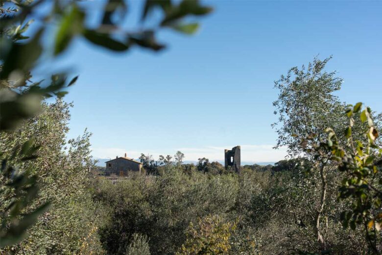 La Tenuta di Cornazzano