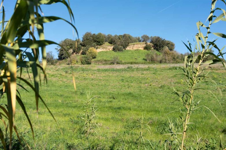 La natura incontaminata della Tenuta di Cornazzano