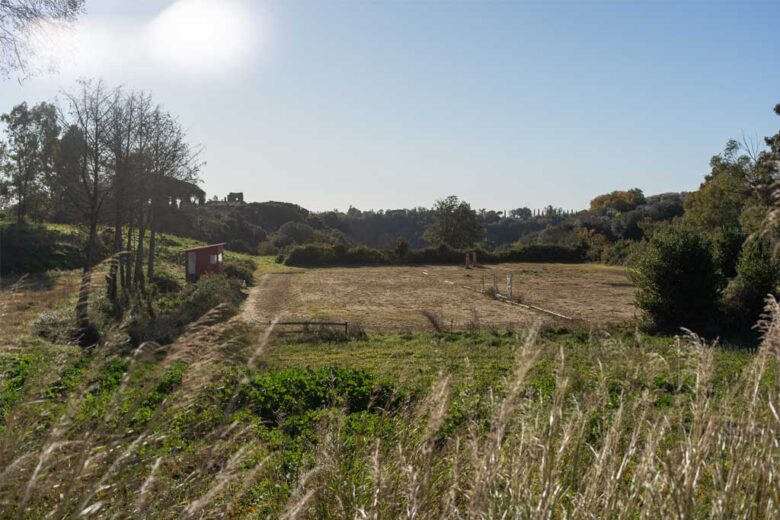 La natura incontaminata della Tenuta di Cornazzano