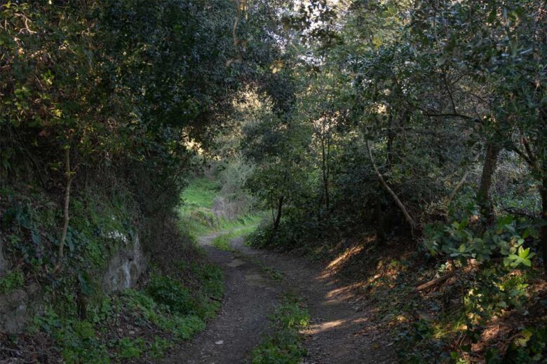 I sentieri della Tenuta di Cornazzano