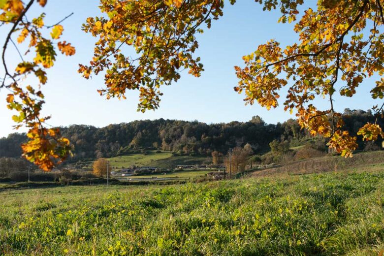 Tenuta di Cornazzano