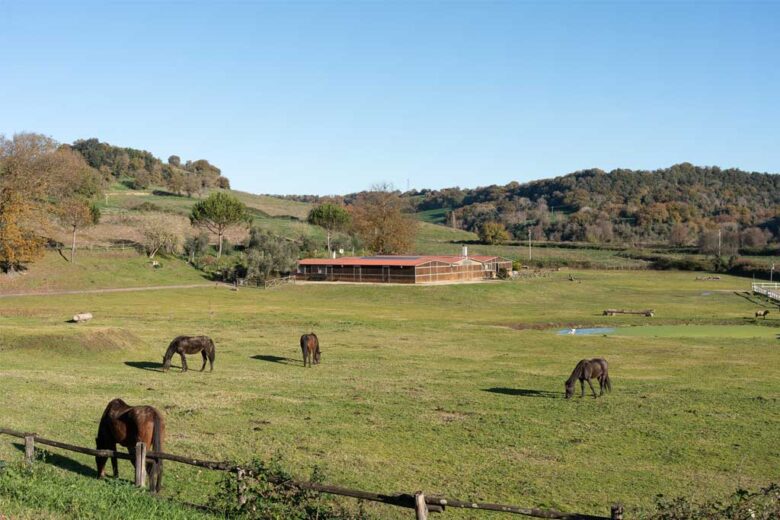 Le scuderie della Tenuta di Cornazzano