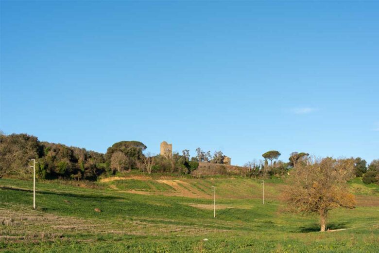 La natura sconfinata della Tenuta di Cornazzano