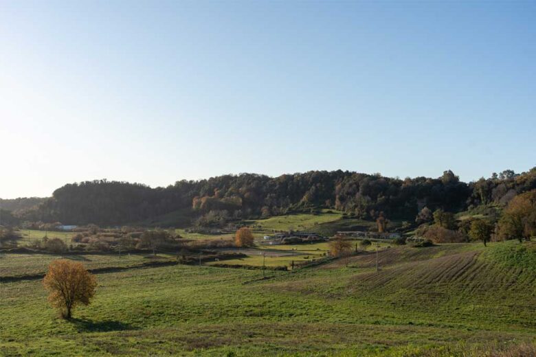 La Tenuta di Cornazzano