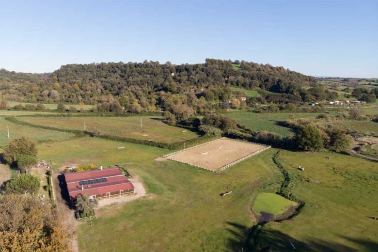 Visita Roma con il tuo cavallo al seguito