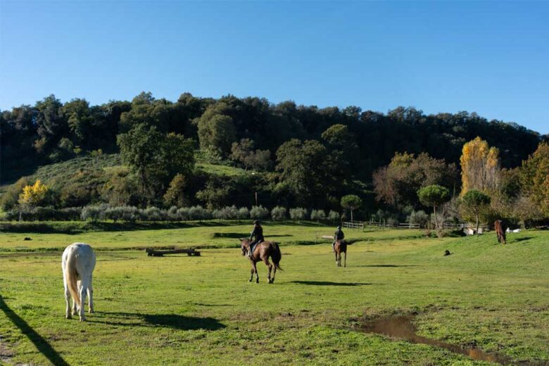 Turismo equestre, scopri la città eterna senza rinunciare al tuo cavallo